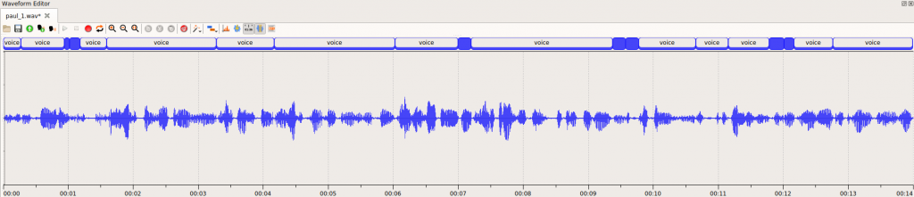 pruned_waveform_picture-1024x221